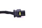 Bentley Continental Gt Gtc front bumper grill pdc sensor wire harness #2524